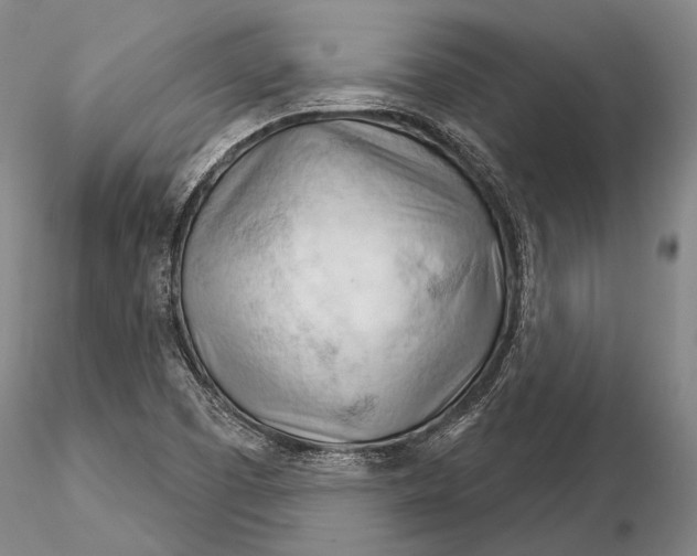 X0000116261457200912211726