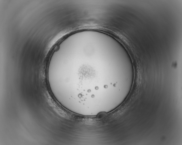 X0000116261458200912211726