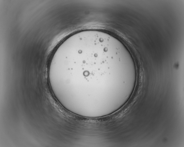 X0000116261461200912211726