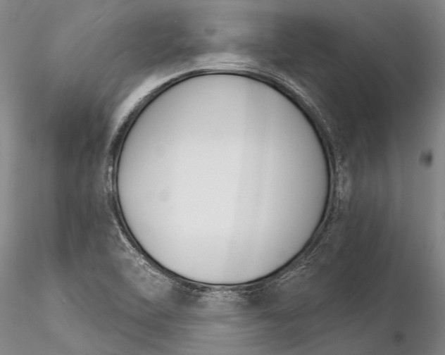 X0000116261462200912211726