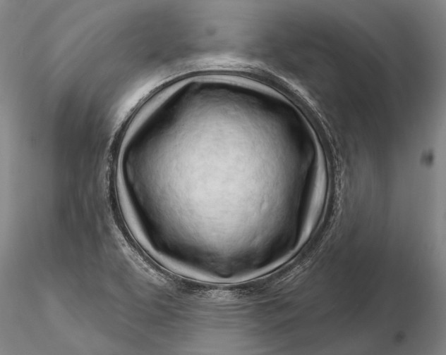 X0000116261463200912211726