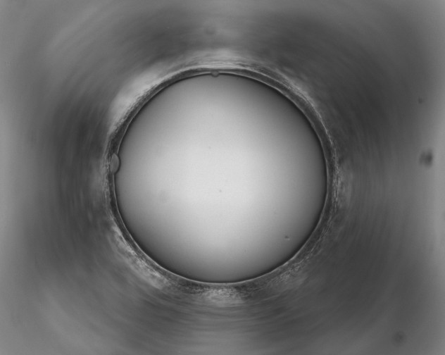 X0000116261464200912211726