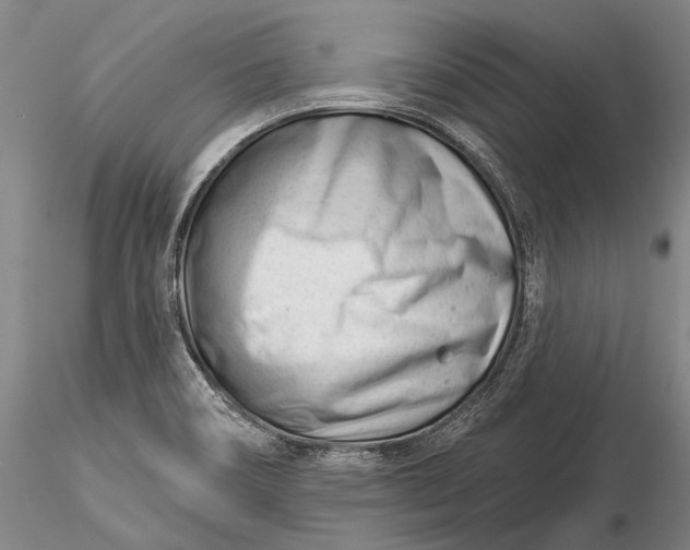 X0000116261466200912211726