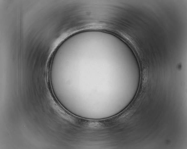 X0000116261467200912211726