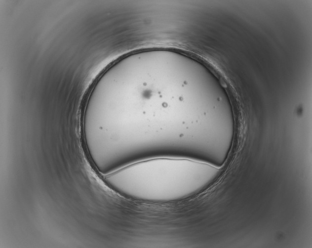 X0000116261468200912211726