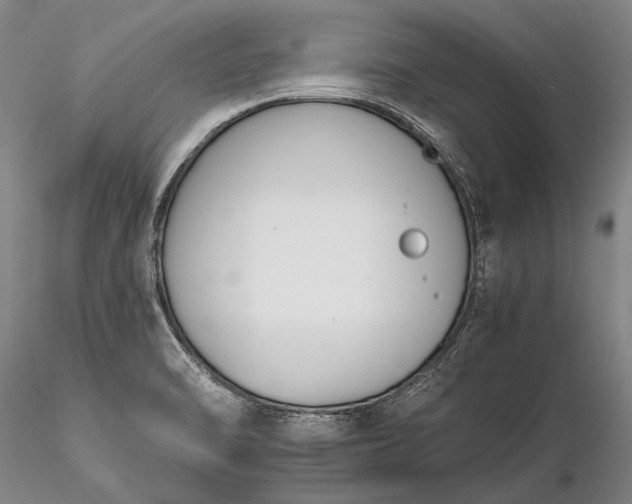 X0000116261470200912211726