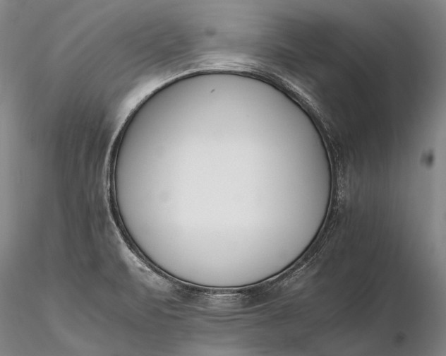 X0000116261471200912211726