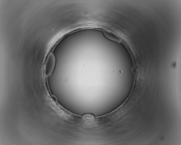 X0000116261472200912211726