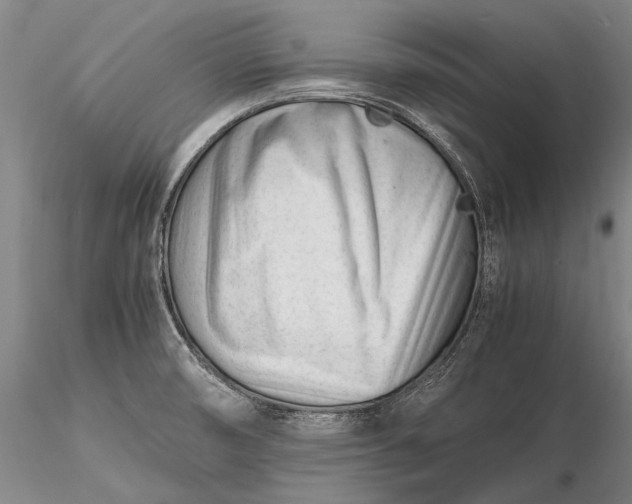 X0000116261474200912211726
