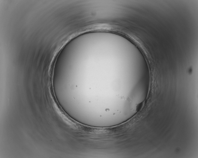 X0000116261475200912211726