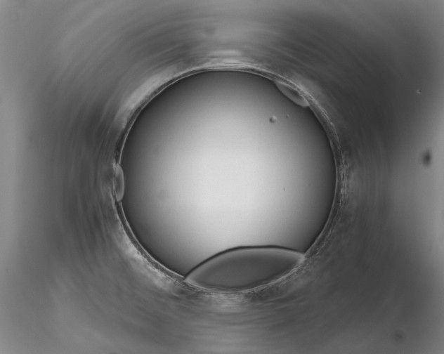 X0000116261476200912211726