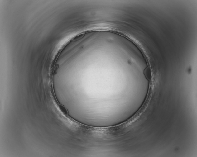 X0000116261477200912211726