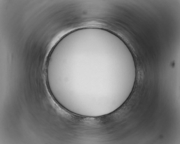 X0000116261478200912211726