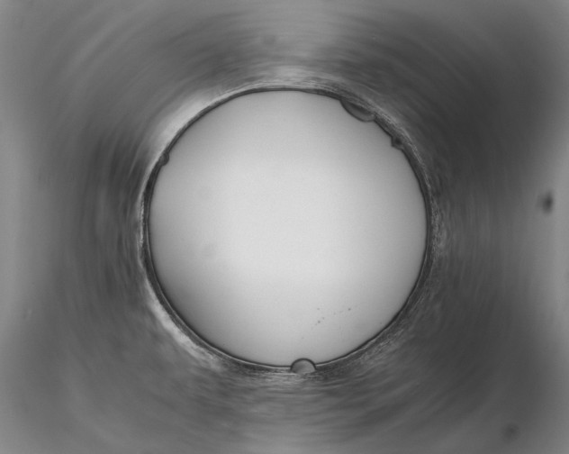 X0000116261479200912211726
