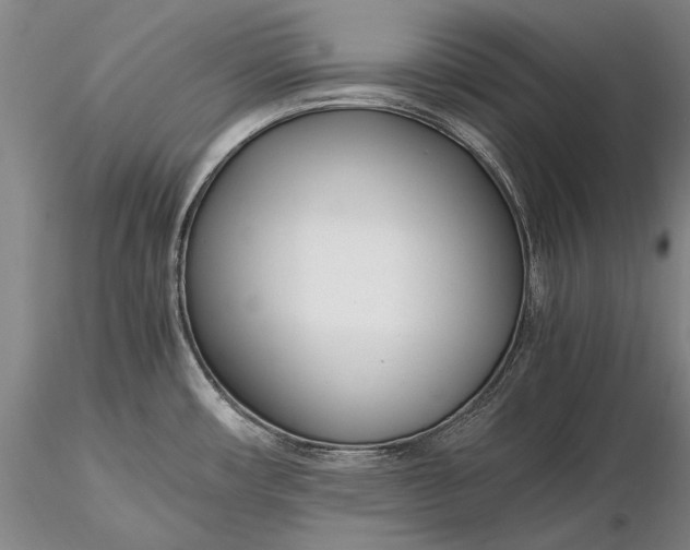 X0000116261482200912211726