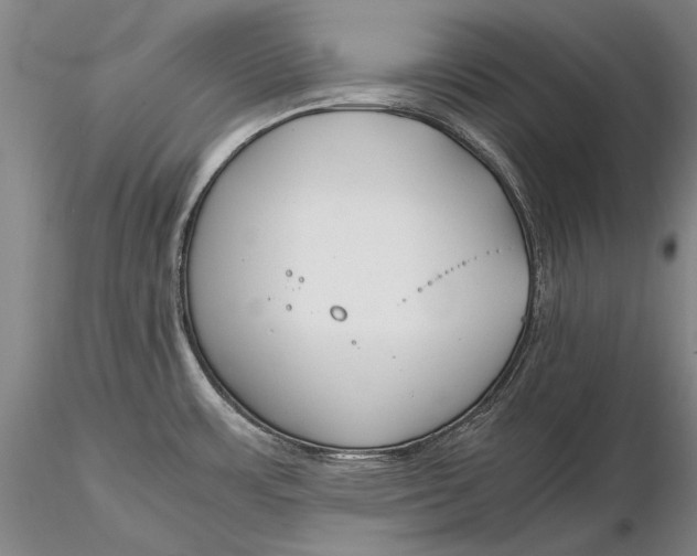 X0000116261483200912211726