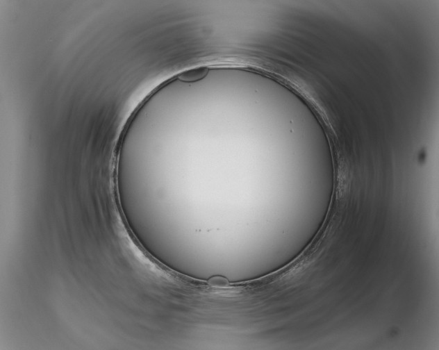 X0000116261484200912211726