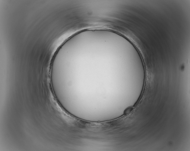 X0000116261485200912211726