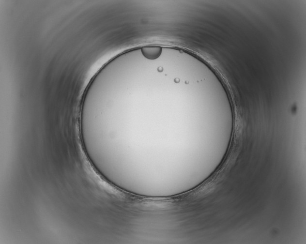 X0000116261486200912211726