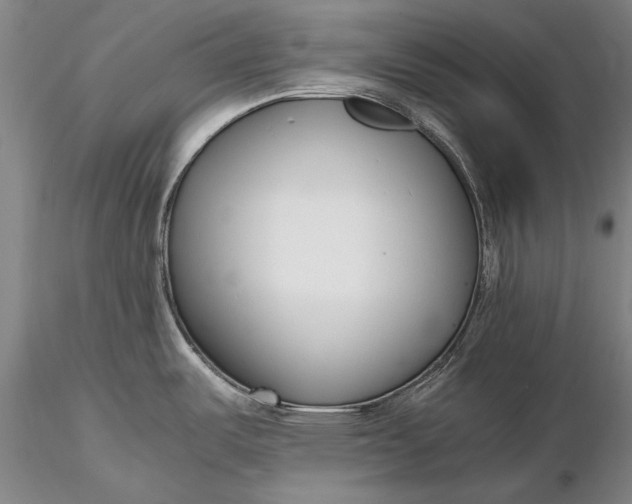 X0000116261487200912211726