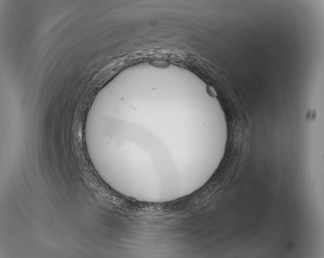X0000116261489200912211725