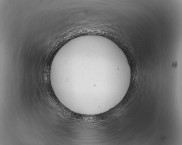 X0000116261490200912211725