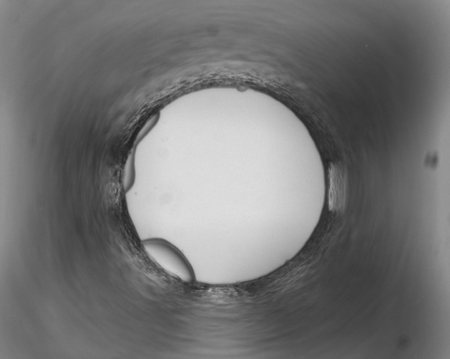 X0000116261491200912211725