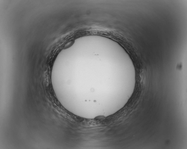 X0000116261493200912211725