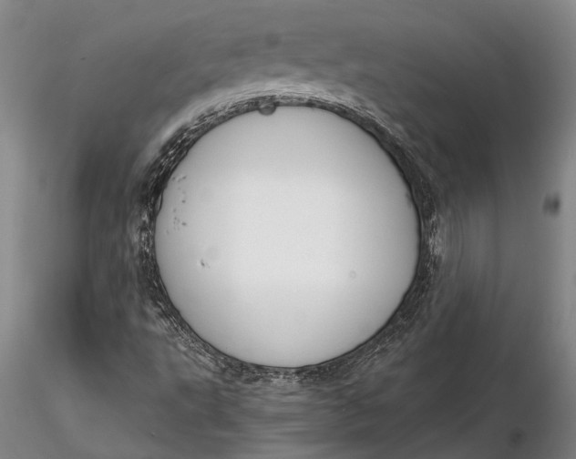 X0000116261495200912211725