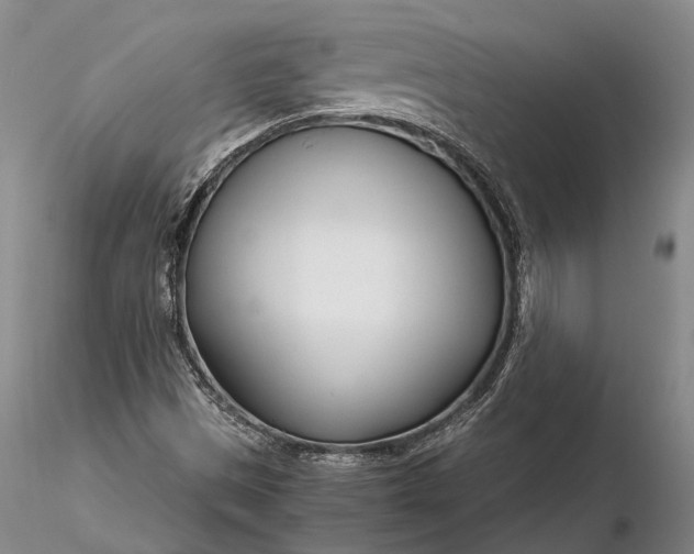 X0000116261497200912211725