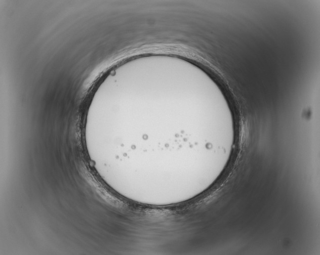 X0000116261498200912211725