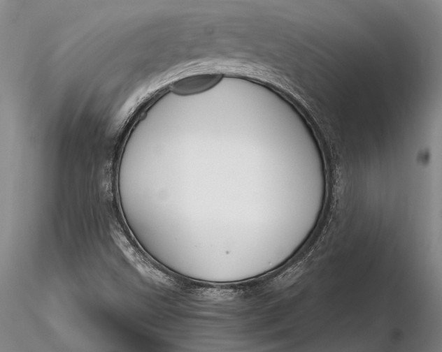 X0000116261499200912211725