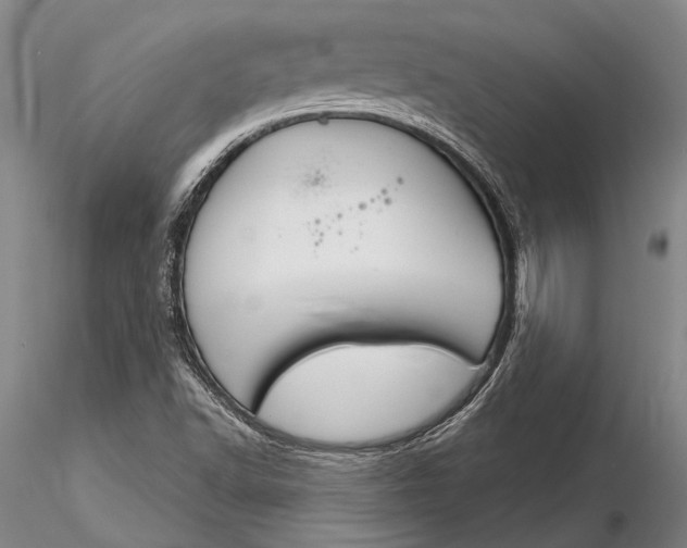 X0000116261502200912211725