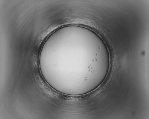 X0000116261505200912211725
