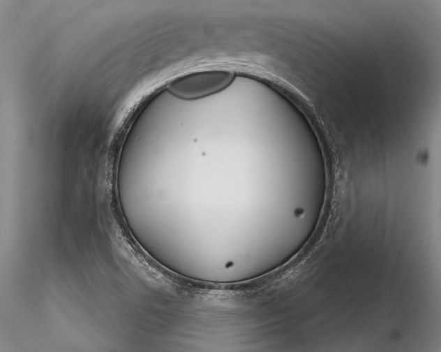 X0000116261506200912211725