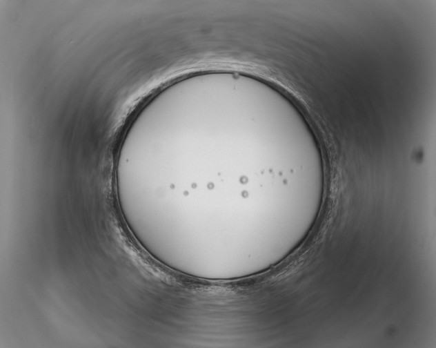 X0000116261507200912211725