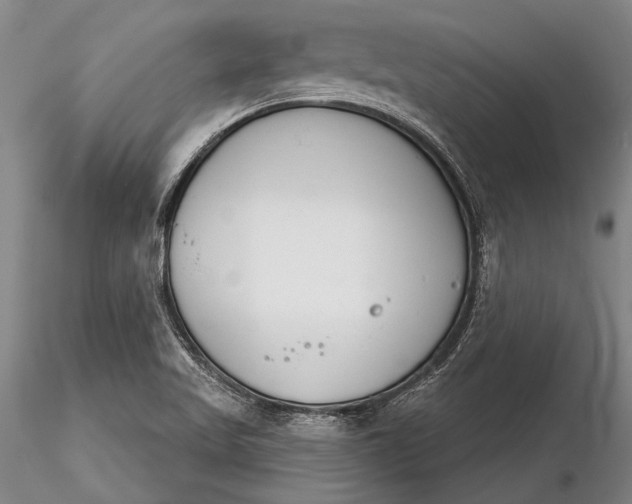 X0000116261509200912211725