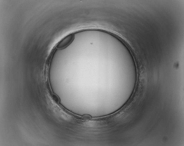 X0000116261510200912211725