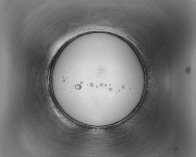 X0000116261511200912211725