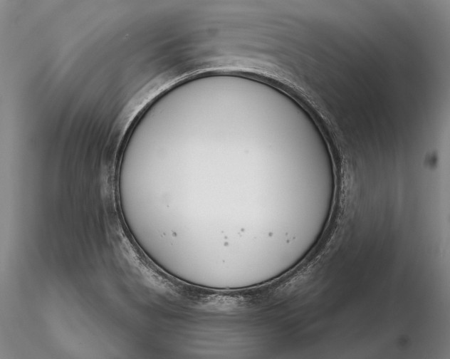 X0000116261513200912211725