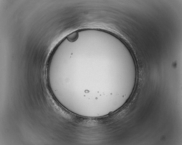 X0000116261517200912211726