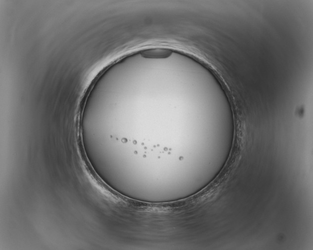 X0000116261519200912211726