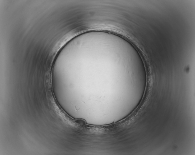 X0000116261521200912211726