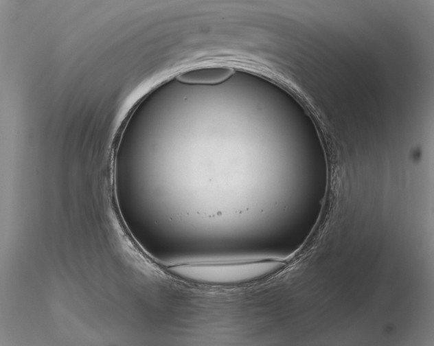 X0000116261522200912211726