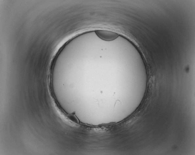X0000116261523200912211726