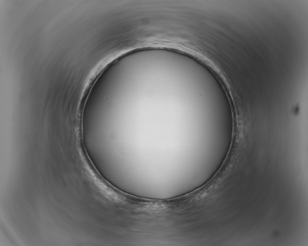 X0000116261525200912211726