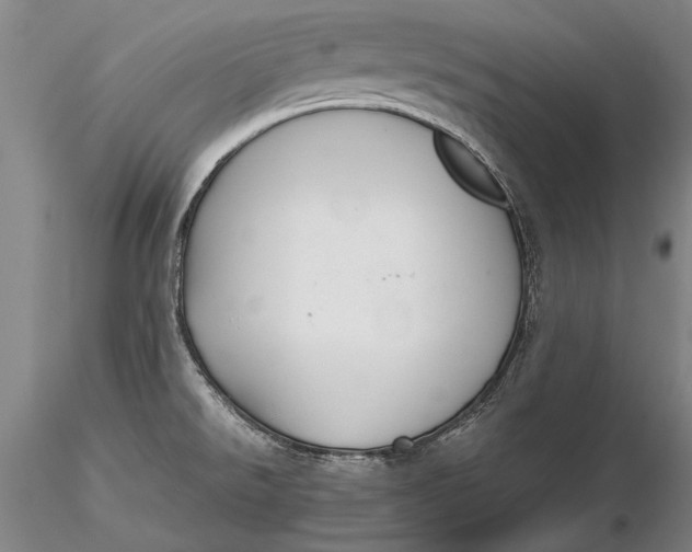 X0000116261526200912211726