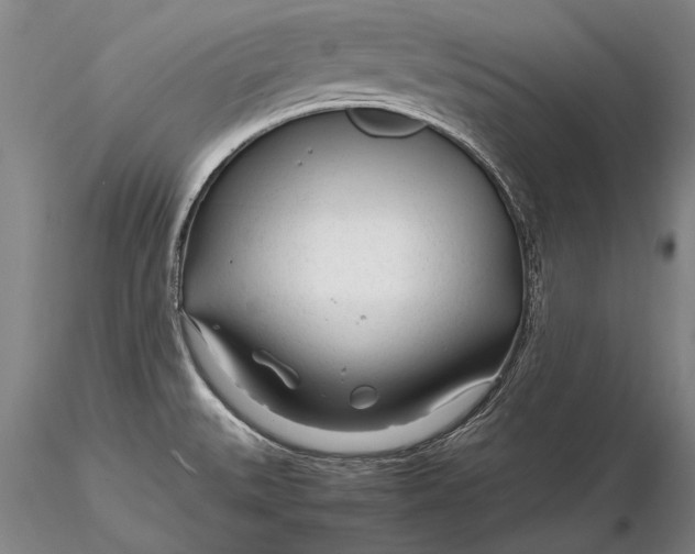 X0000116261527200912211726