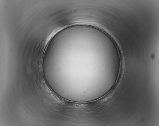 X0000116261529200912211726