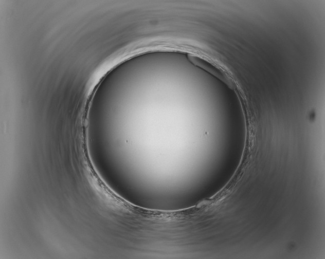 X0000116261530200912211726